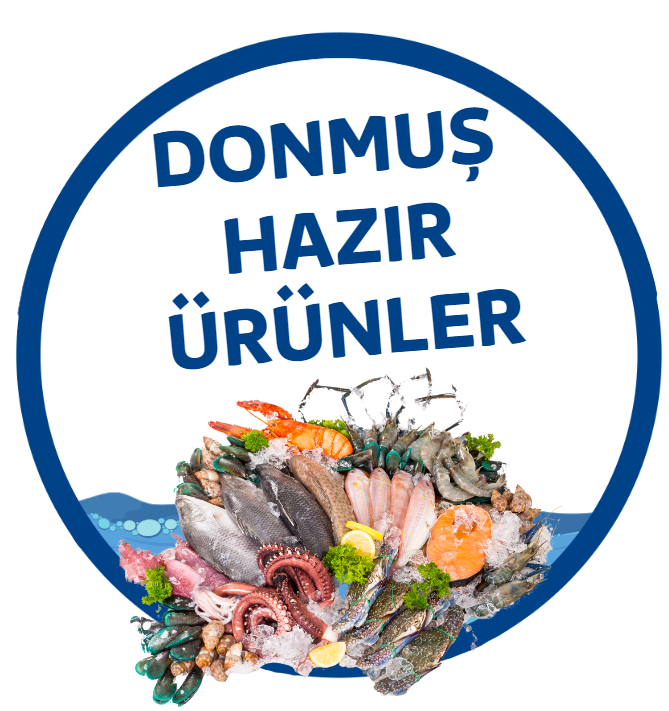 6.RESİM